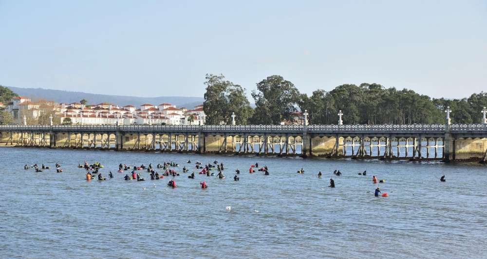 Reconstrucción del Puente de la Toja